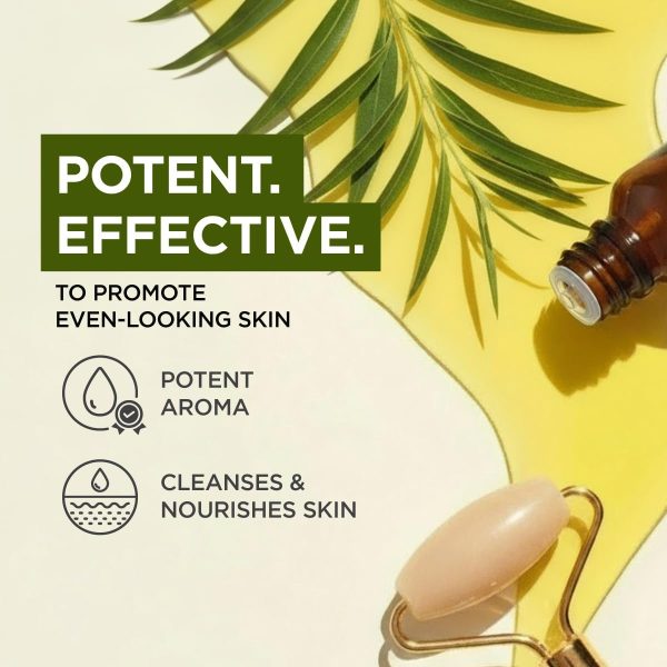 Gya Labs Australian Tea Tree Essential Oil - 0.34 Fl Oz - for Hair, Skin, Diffuser, Aromatherapy & DIY Candle Making Scent-2