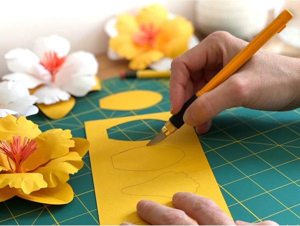 OLFA AK-4 Graphic Art Knife Set with 4 Blades - Precision Craft Knife olfa