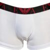 Emporio Armani 3-Pack Trunk Maillot Homme Coton Élasthanne-4