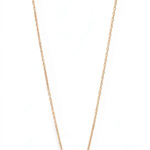 Collier Emporio Armani argent sterling doré rose élégant pour femme-0